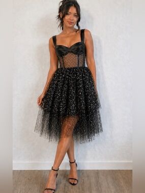 Black Vintage Silver Sparkle Sequins Layered Tulle Dress, lined mesh bustier top